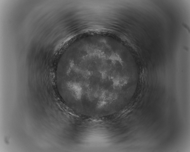 X0000100840822200807111149