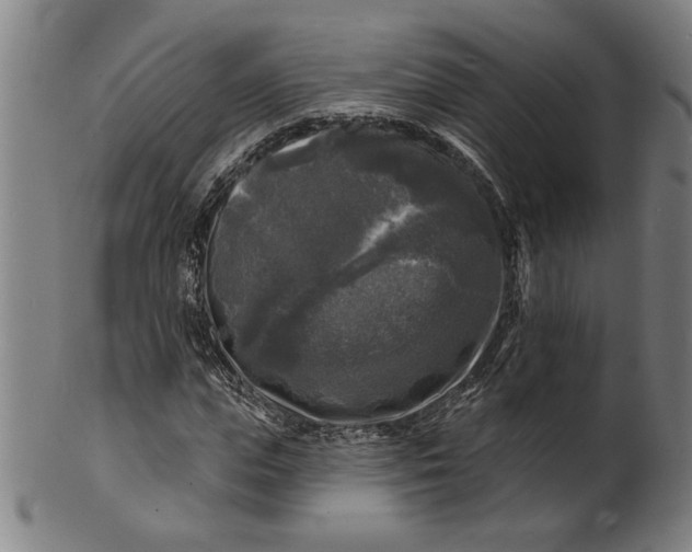 X0000100840823200807111149