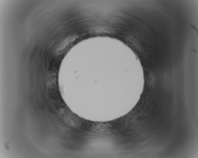 X0000100840824200807111149