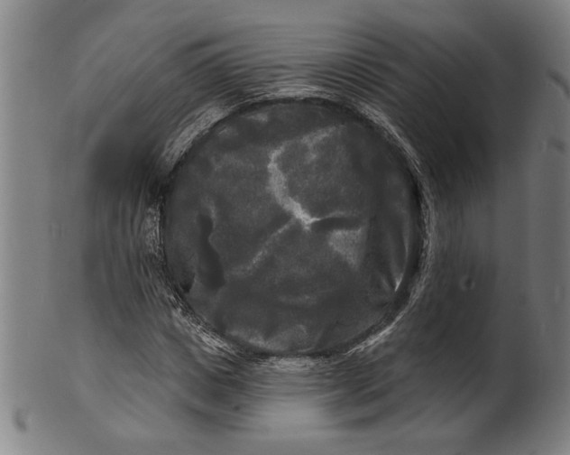 X0000100840825200807111149