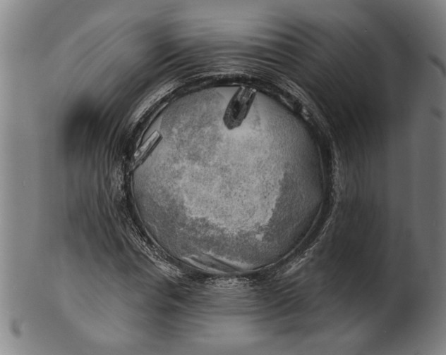 X0000100840826200807111149