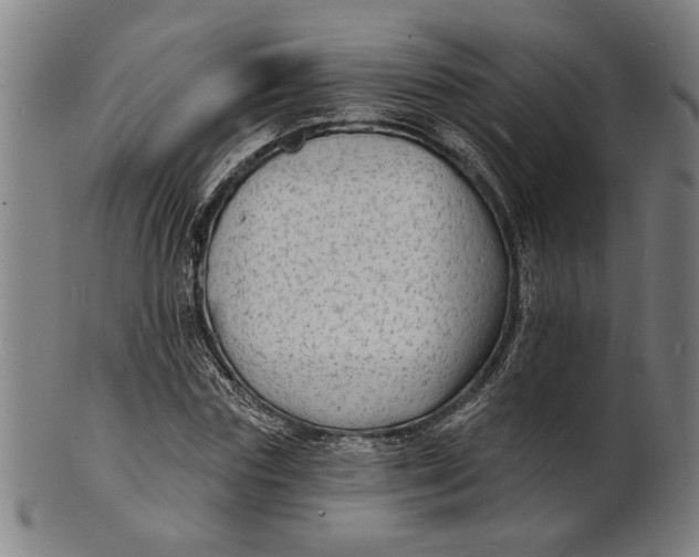 X0000100840827200807111149