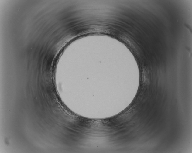 X0000100840828200807111149