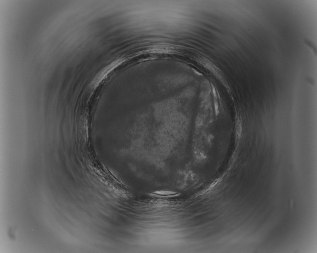 X0000100840829200807111149