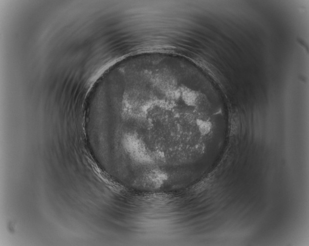 X0000100840830200807111149