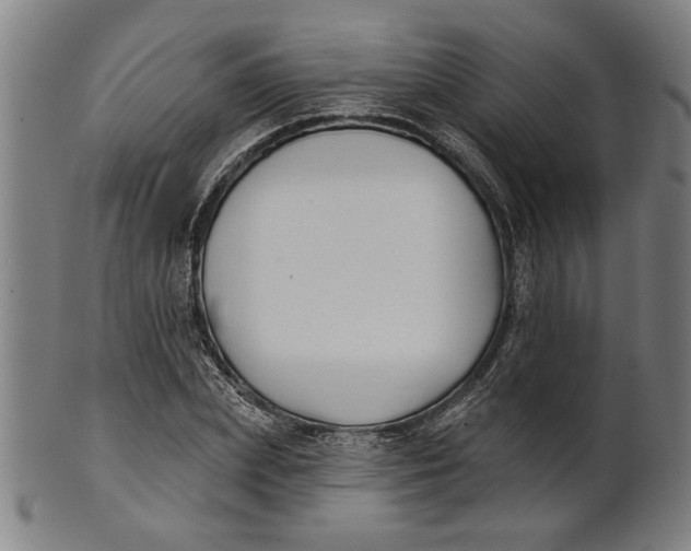 X0000100840831200807111149