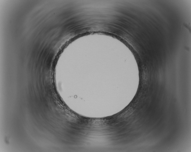 X0000100840832200807111149