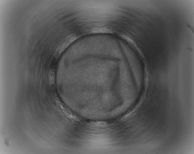 X0000100840833200807111149