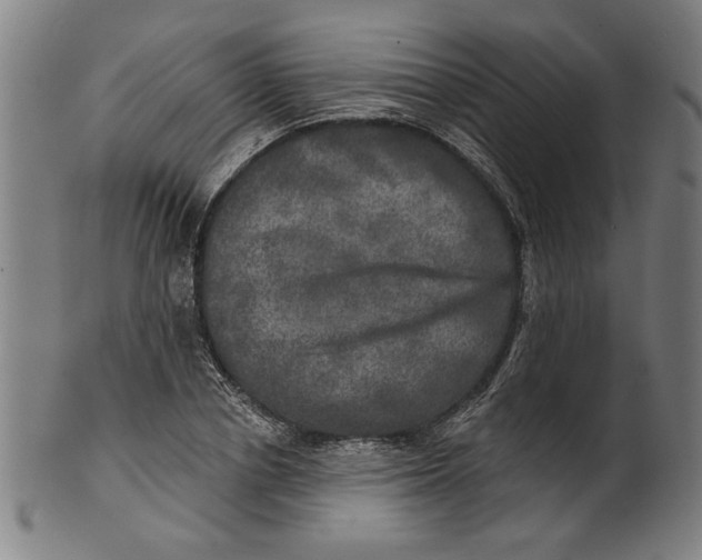 X0000100840834200807111149