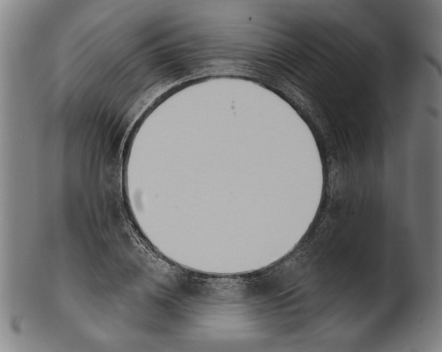 X0000100840836200807111149