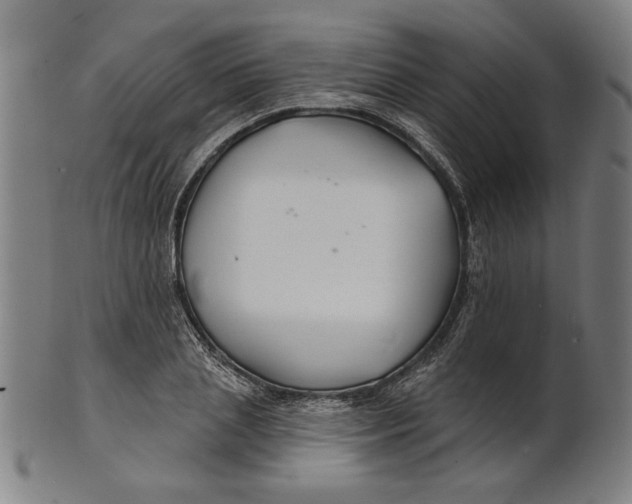 X0000100840837200807111149