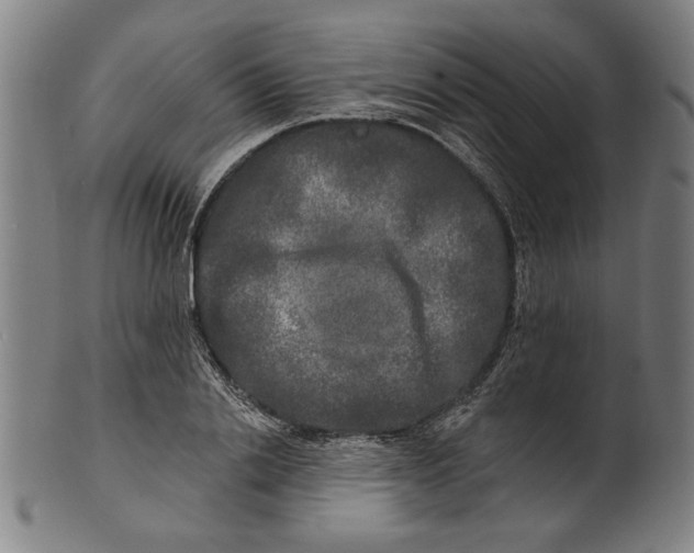 X0000100840838200807111149