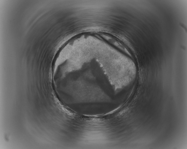 X0000100840839200807111149