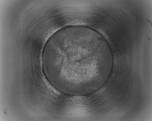 X0000100840840200807111149