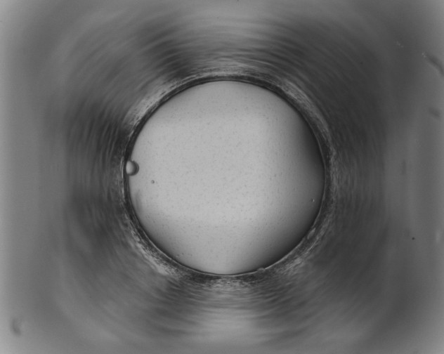 X0000100840842200807111149