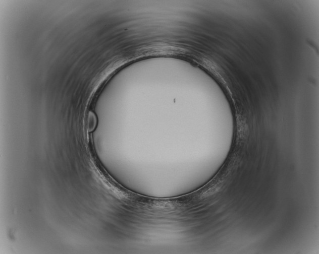 X0000100840843200807111149