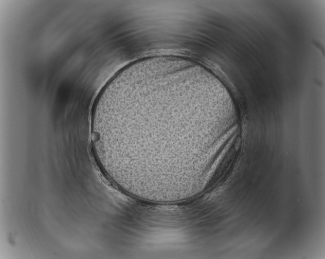 X0000100840844200807111149