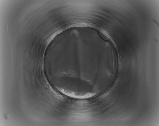 X0000100840845200807111149