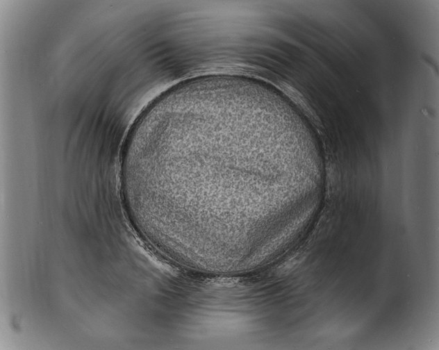 X0000100840846200807111149