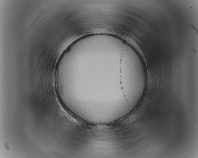 X0000100840847200807111149