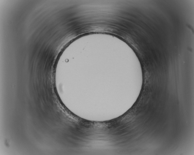 X0000100840848200807111149