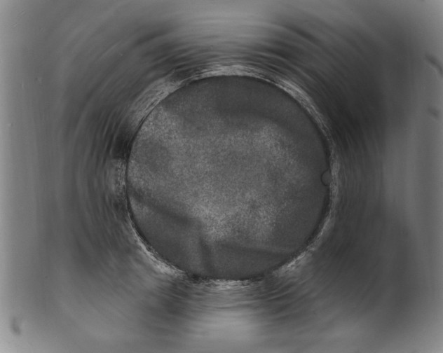 X0000100840849200807111149