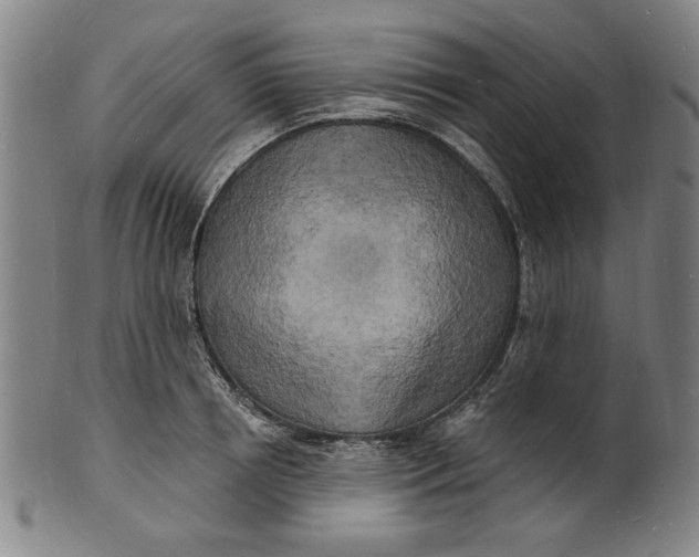 X0000100840850200807111149