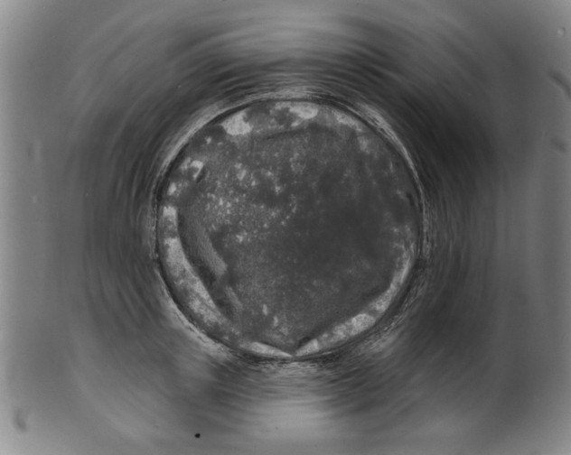 X0000100840851200807111149