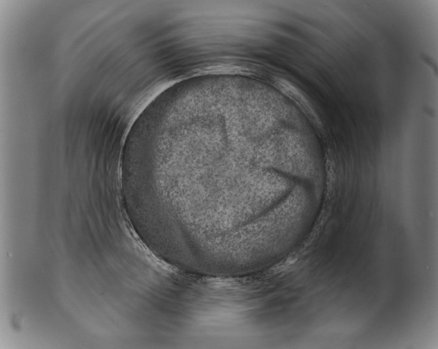 X0000100840852200807111149