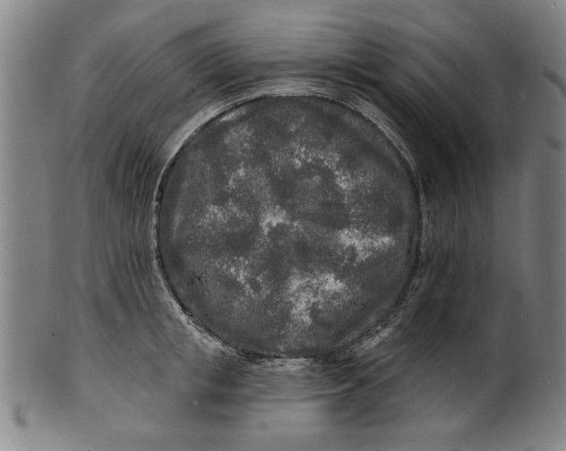 X0000100840853200807111149