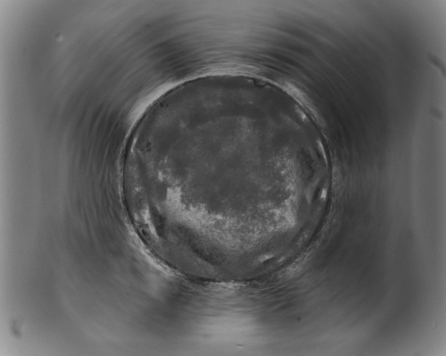 X0000100840854200807111149