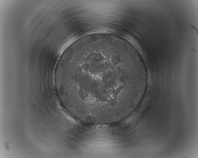 X0000100840858200807111150