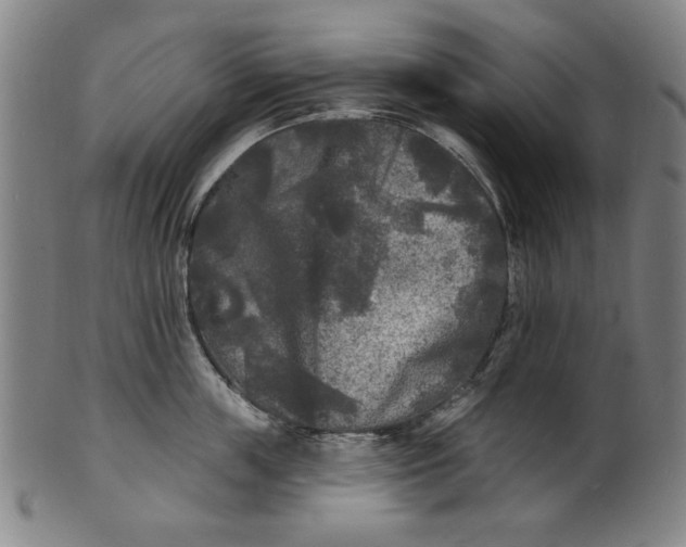 X0000100840859200807111150