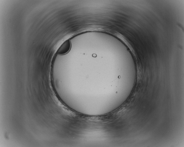 X0000100840861200807111150