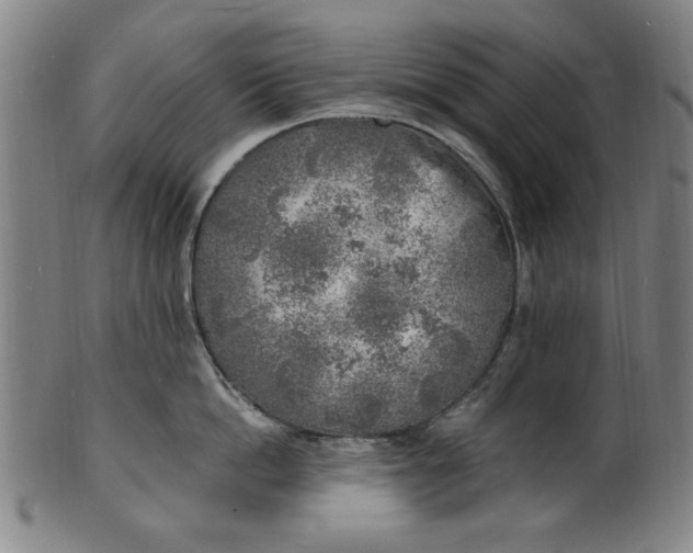 X0000100840862200807111150