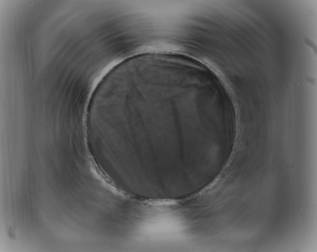 X0000100840864200807111150