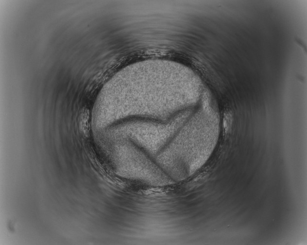 X0000100840867200807111149