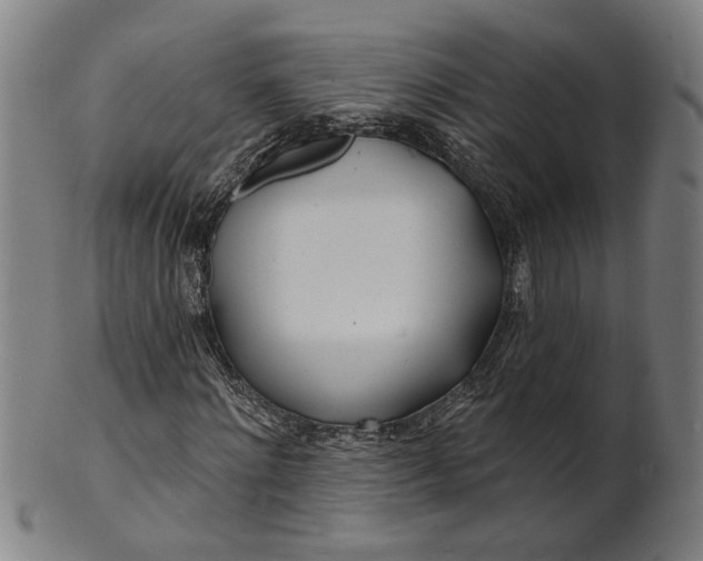 X0000100840868200807111149