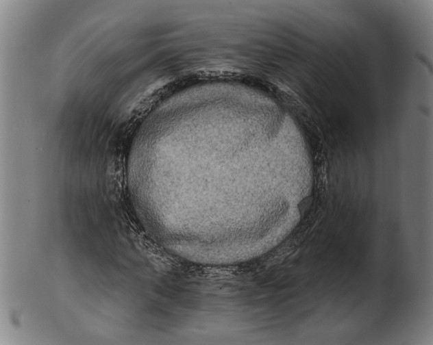 X0000100840870200807111149