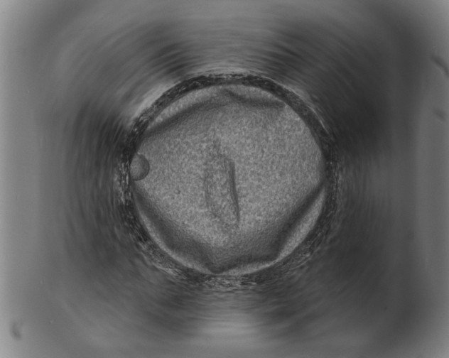 X0000100840871200807111149