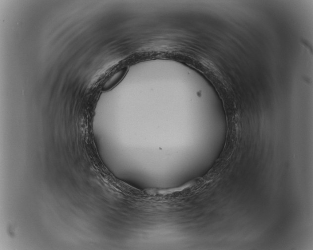 X0000100840872200807111149