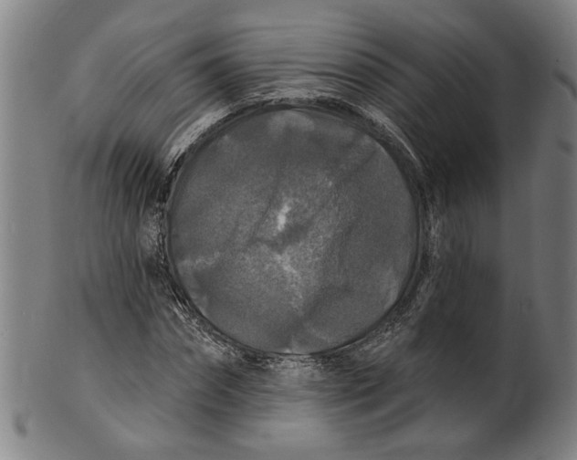 X0000100840874200807111149