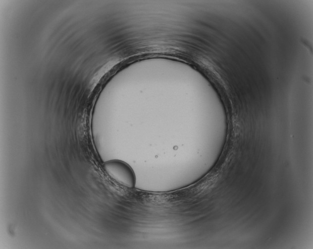 X0000100840875200807111149