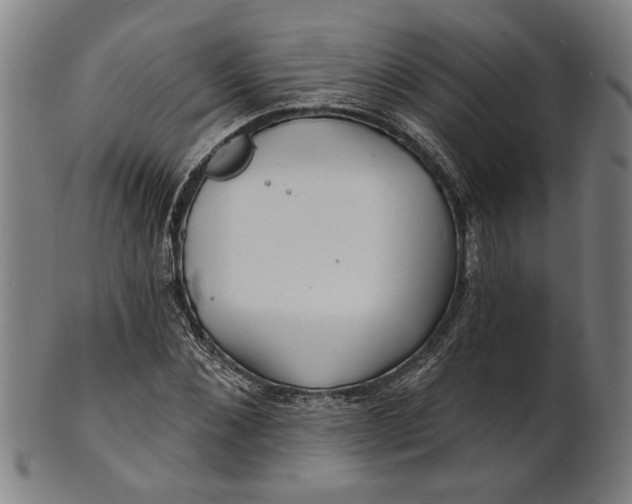 X0000100840876200807111149