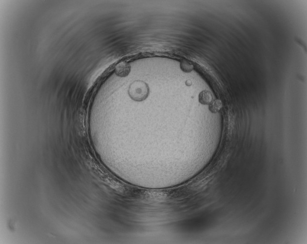 X0000100840878200807111149