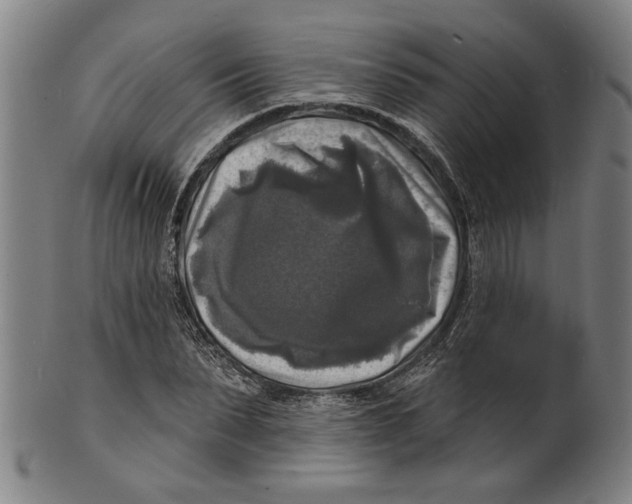 X0000100840879200807111149