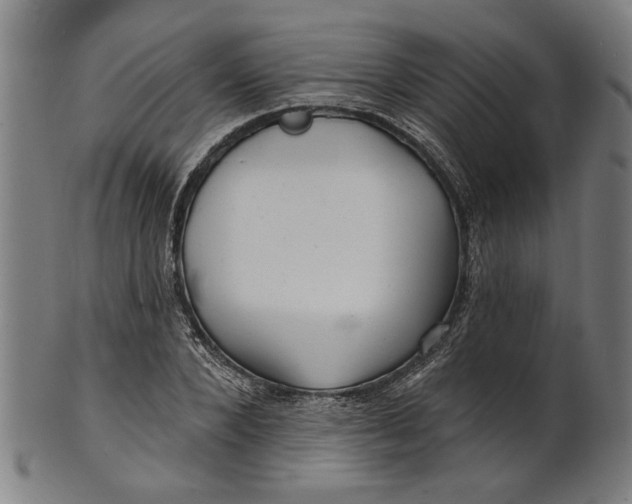 X0000100840880200807111149