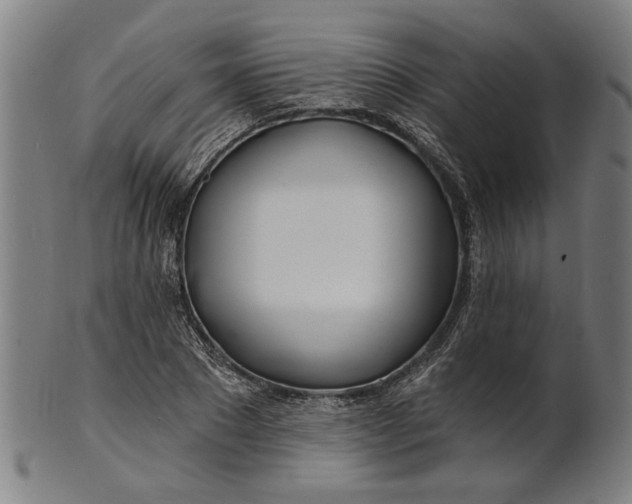 X0000100840881200807111149