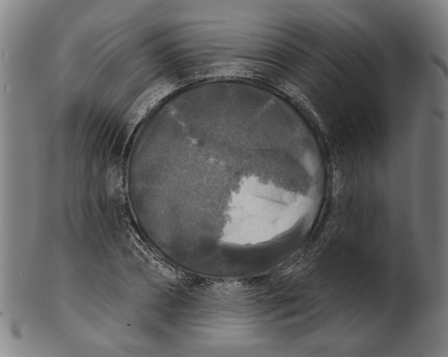 X0000100840882200807111149