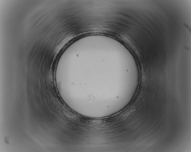 X0000100840883200807111149